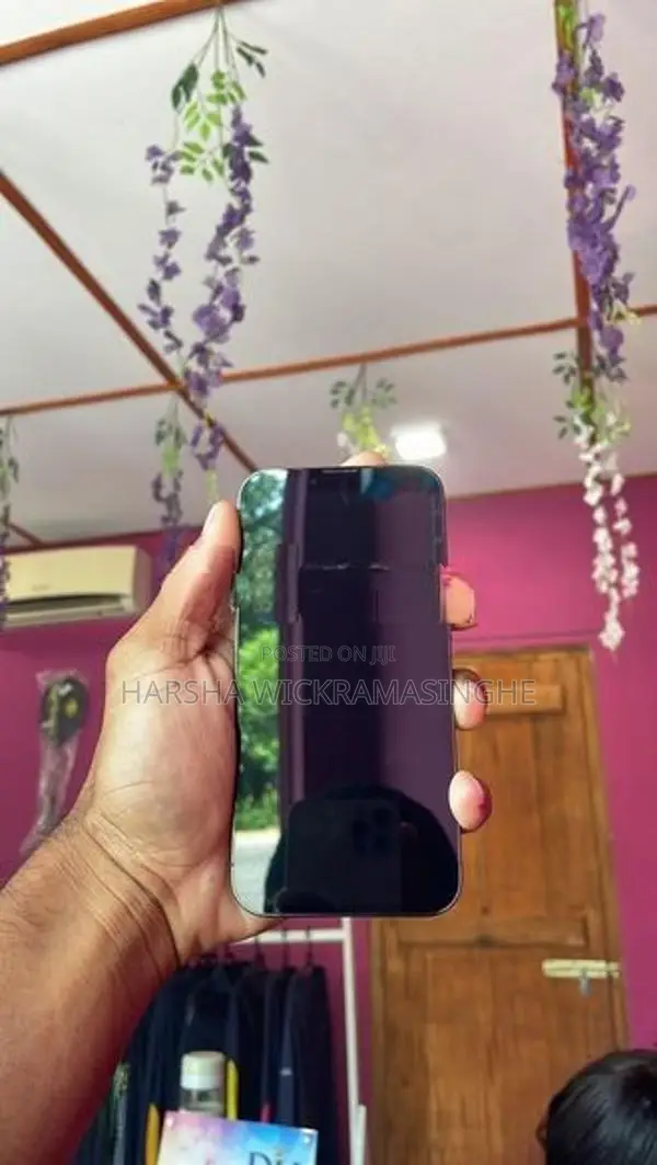 Apple iPhone 13 Pro Zp/A (Used)