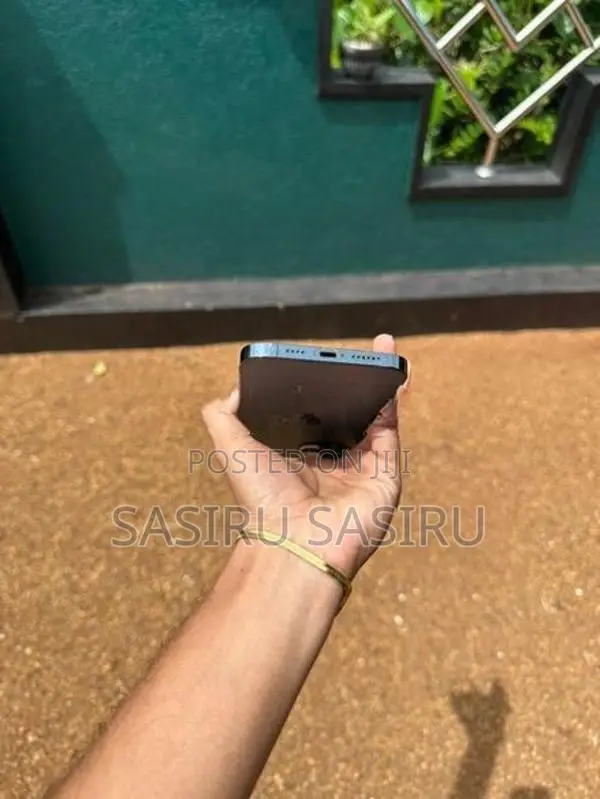 Apple iPhone 12 Pro Max (Used)