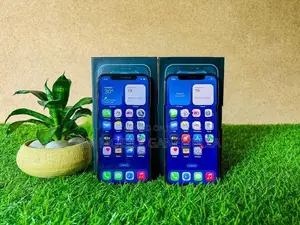 Apple iPhone 12 Pro 256gb (Used)