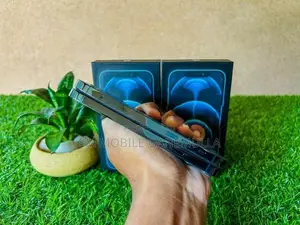 Apple iPhone 12 Pro 256gb (Used)