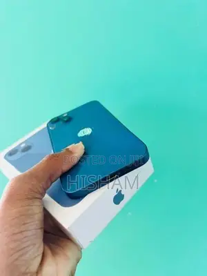 Apple iPhone 13 128GB (Used)