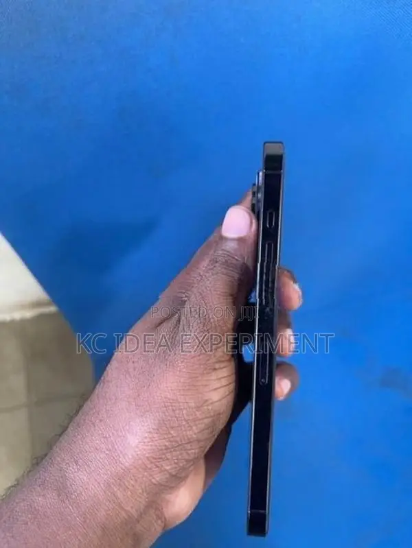 Apple iPhone 16 Pro Max (512GB) (Used)