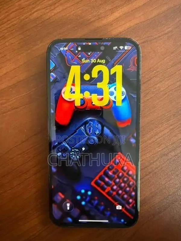 Apple iPhone 14 Pro Max (Used)