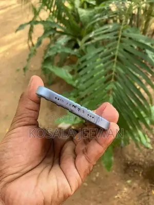 Apple iPhone 17 (Used)