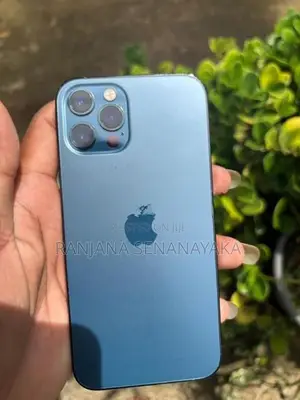 Apple iPhone 12 Pro (Used)