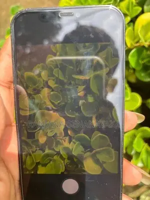 Apple iPhone 12 Pro (Used)
