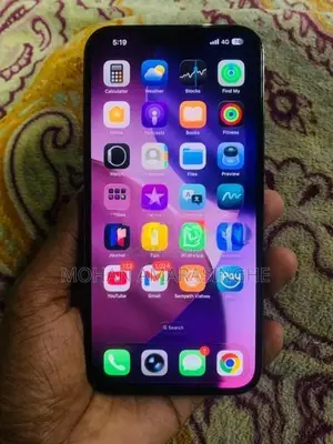 Apple iPhone 13 Pro Max (Used)