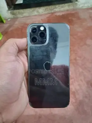 Apple iPhone 12 Pro (Used)