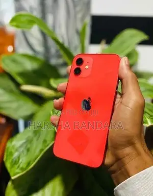 Apple iPhone 12 (Used)