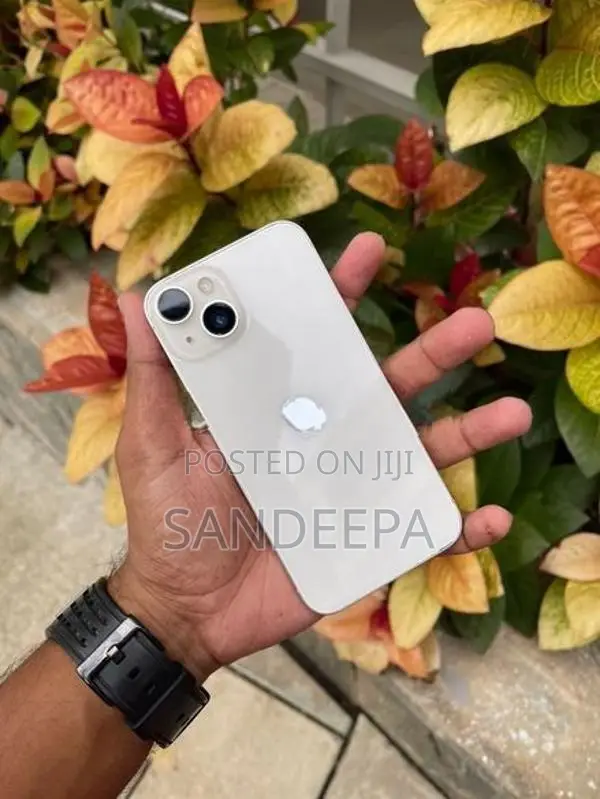 Apple iPhone 14 256GB (Used)