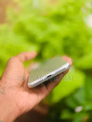Apple iPhone 7 Plus (Used)