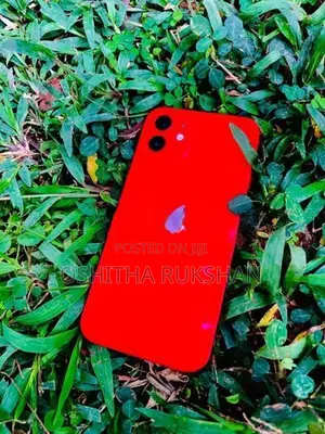 Apple iPhone 12 (Used)