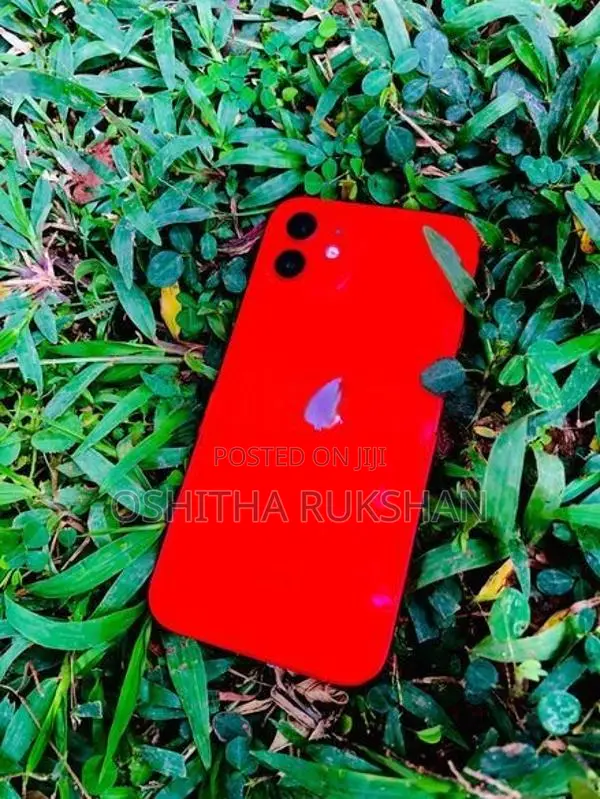 Apple iPhone 12 (Used)