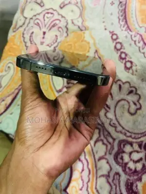 Apple iPhone 13 Pro Max (Used)