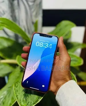 Apple iPhone 12 (Used)