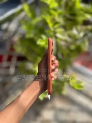 Apple iPhone 17 Pro Max (Used)