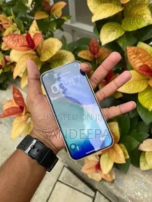 Apple iPhone 14 256GB (Used)
