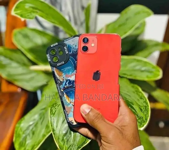 Apple iPhone 12 (Used)