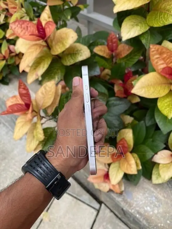 Apple iPhone 14 256GB (Used)