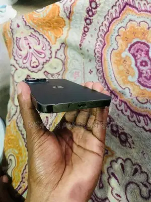 Apple iPhone 13 Pro Max (Used)