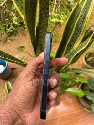 Apple iPhone 13 (Used)