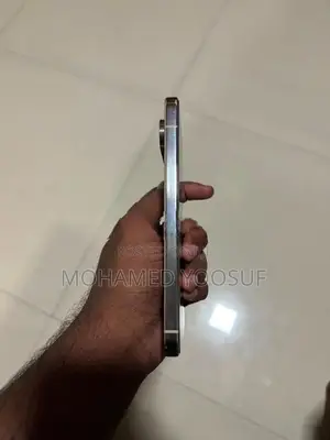 Google Pixel 9 Pro XL (Used)