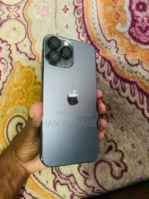 Apple iPhone 13 Pro Max (Used)