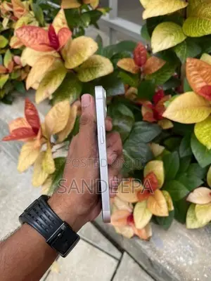 Apple iPhone 14 256GB (Used)