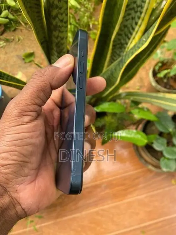 Apple iPhone 13 (Used)