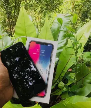 Apple iPhone X (Used)