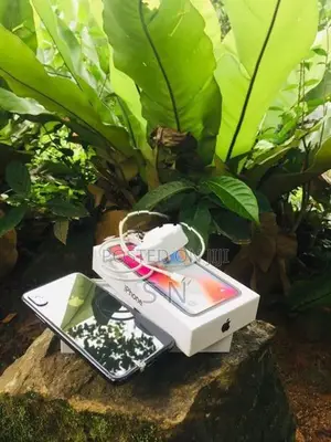 Apple iPhone X (Used)