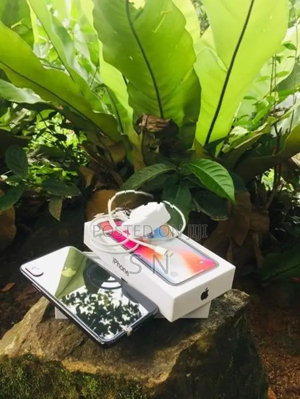 Apple iPhone X (Used)