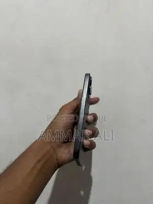 Apple iPhone 15 Pro Max (Used)