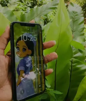 Apple iPhone X (Used)