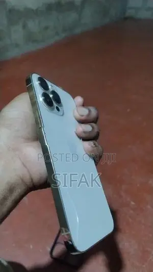 Apple iPhone 13 Pro Max (Used)