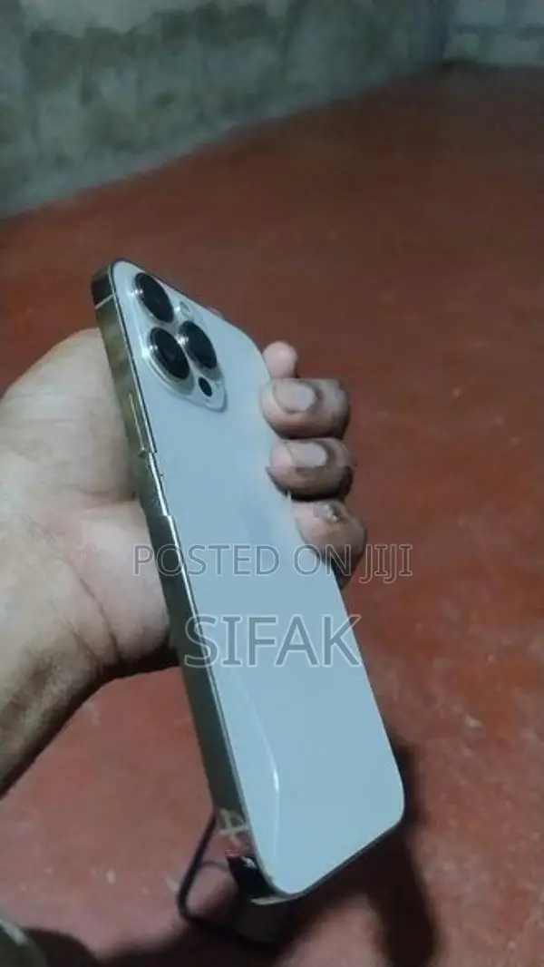 Apple iPhone 13 Pro Max (Used)