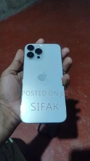 Apple iPhone 13 Pro Max (Used)