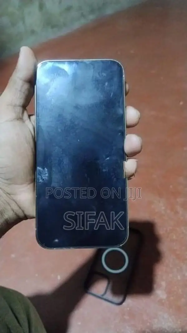 Apple iPhone 13 Pro Max (Used)