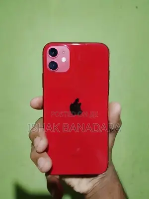Apple iPhone 11 (Used)