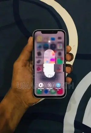 Apple iPhone 12 (Used)
