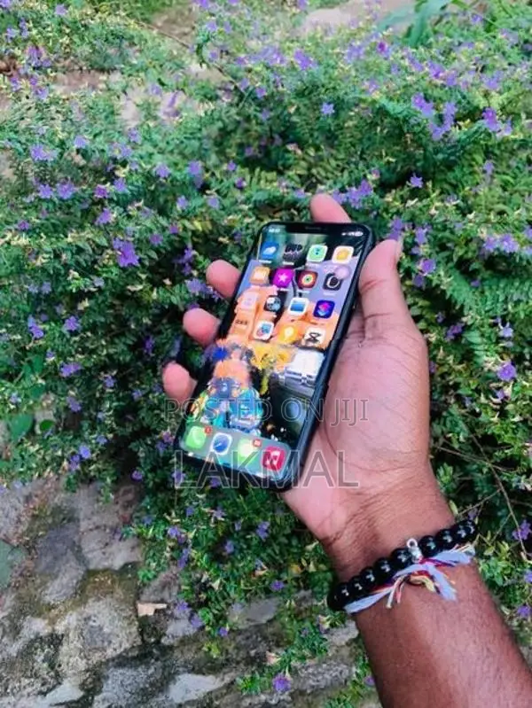 Apple iPhone X (Used)