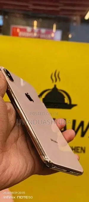 Apple iPhone XS Max 256GB (Used)