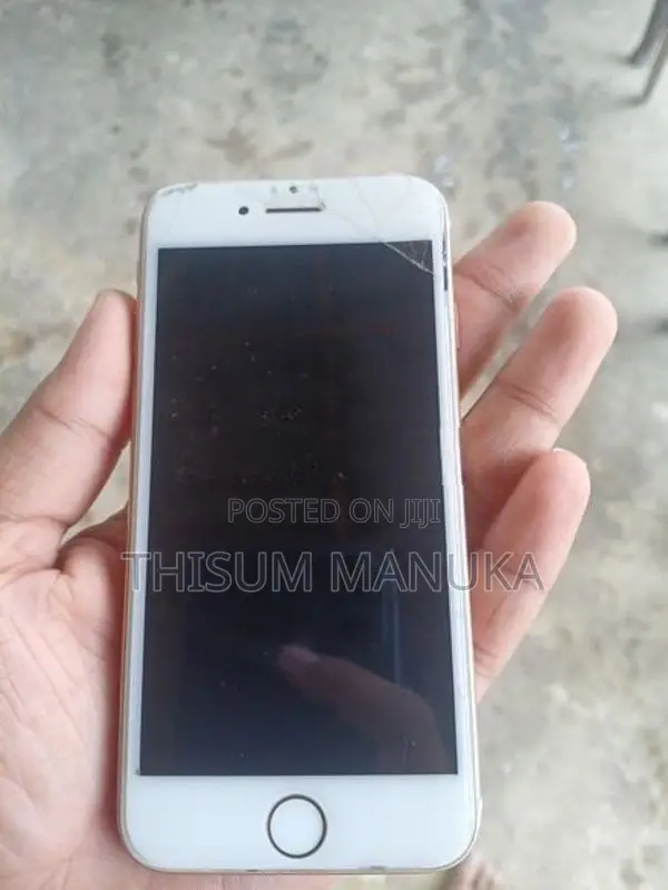 Apple iPhone 8 256GB (Used)