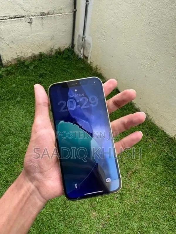 Apple iPhone 12 Pro (Used)