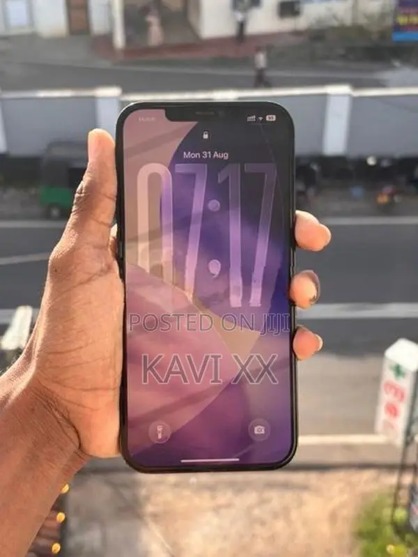 Apple iPhone 12 Pro Max 256 GB (Used)