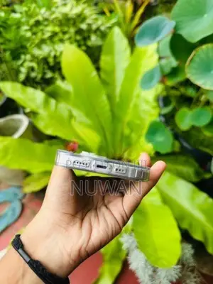 Apple iPhone 14 (Used)