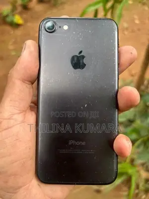 Apple iPhone 7 (Used)