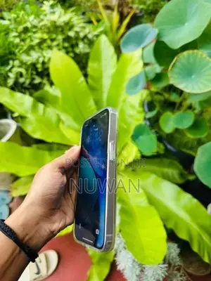 Apple iPhone 14 (Used)