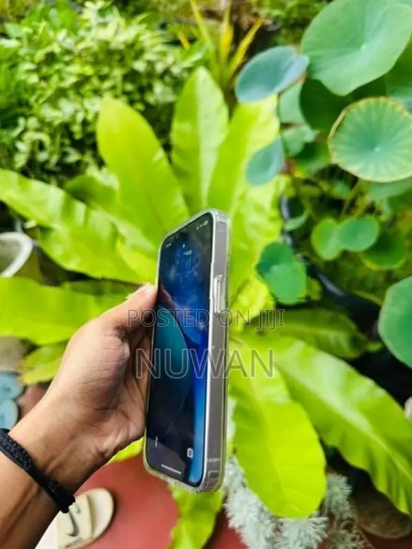 Apple iPhone 14 (Used)