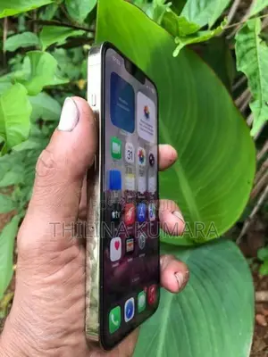 Apple iPhone 13 Pro (Used)